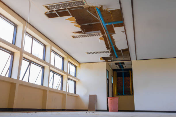 Best Residential water damage restoration  in Lido Beach, NY