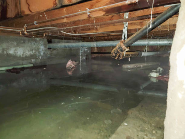 Best Water damage cleanup near me  in Lido Beach, NY