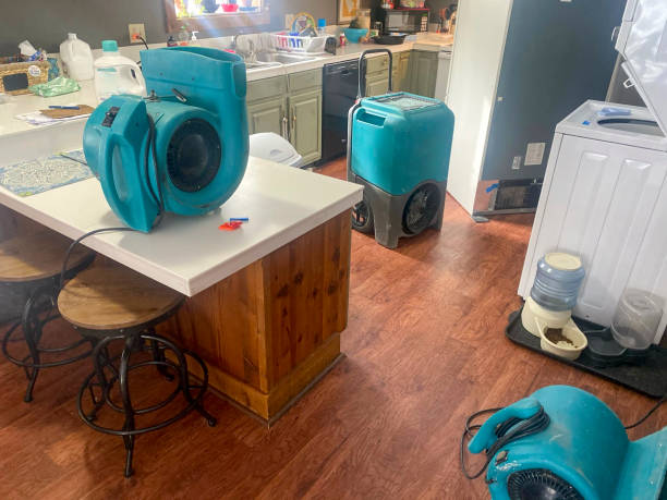 Best Ceiling water damage repair  in Lido Beach, NY