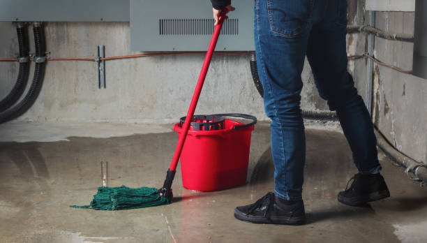 Water damage restoration experts in NY