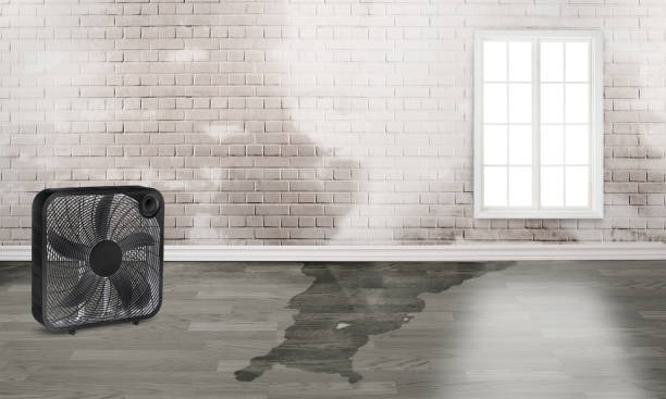 Best Commercial water damage restoration  in Lido Beach, NY