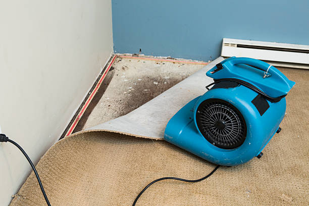 Best Flooded house restoration  in Lido Beach, NY